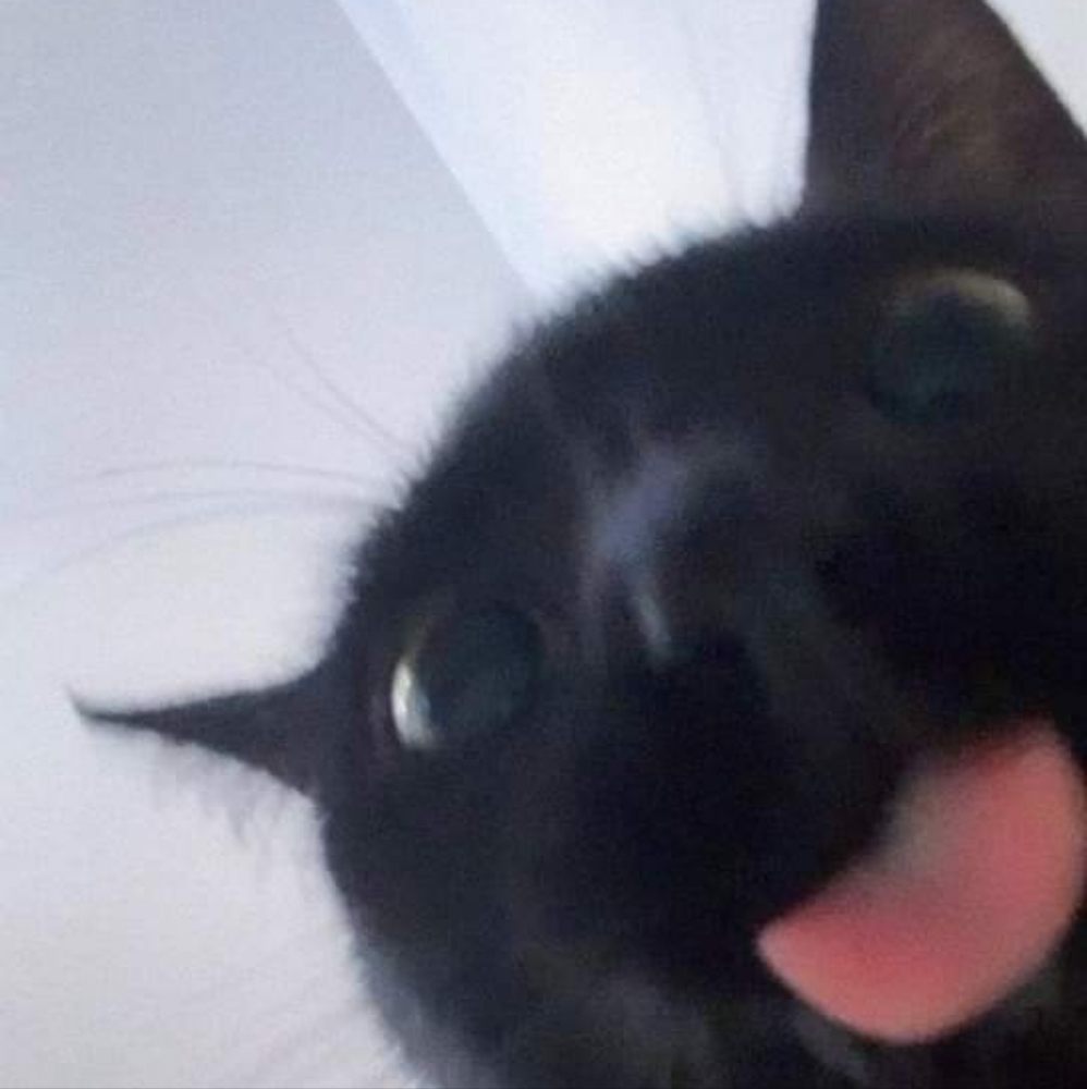 Meet your Posher, Crumb